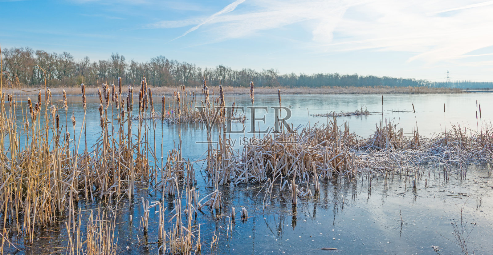 阳光下结冰的湖岸照片摄影图片