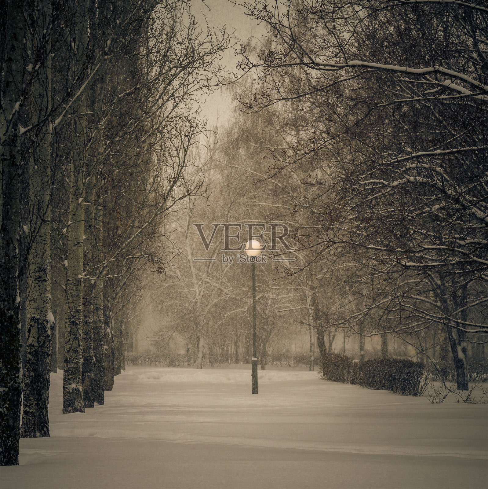 冬天。城市下雪了。照片摄影图片