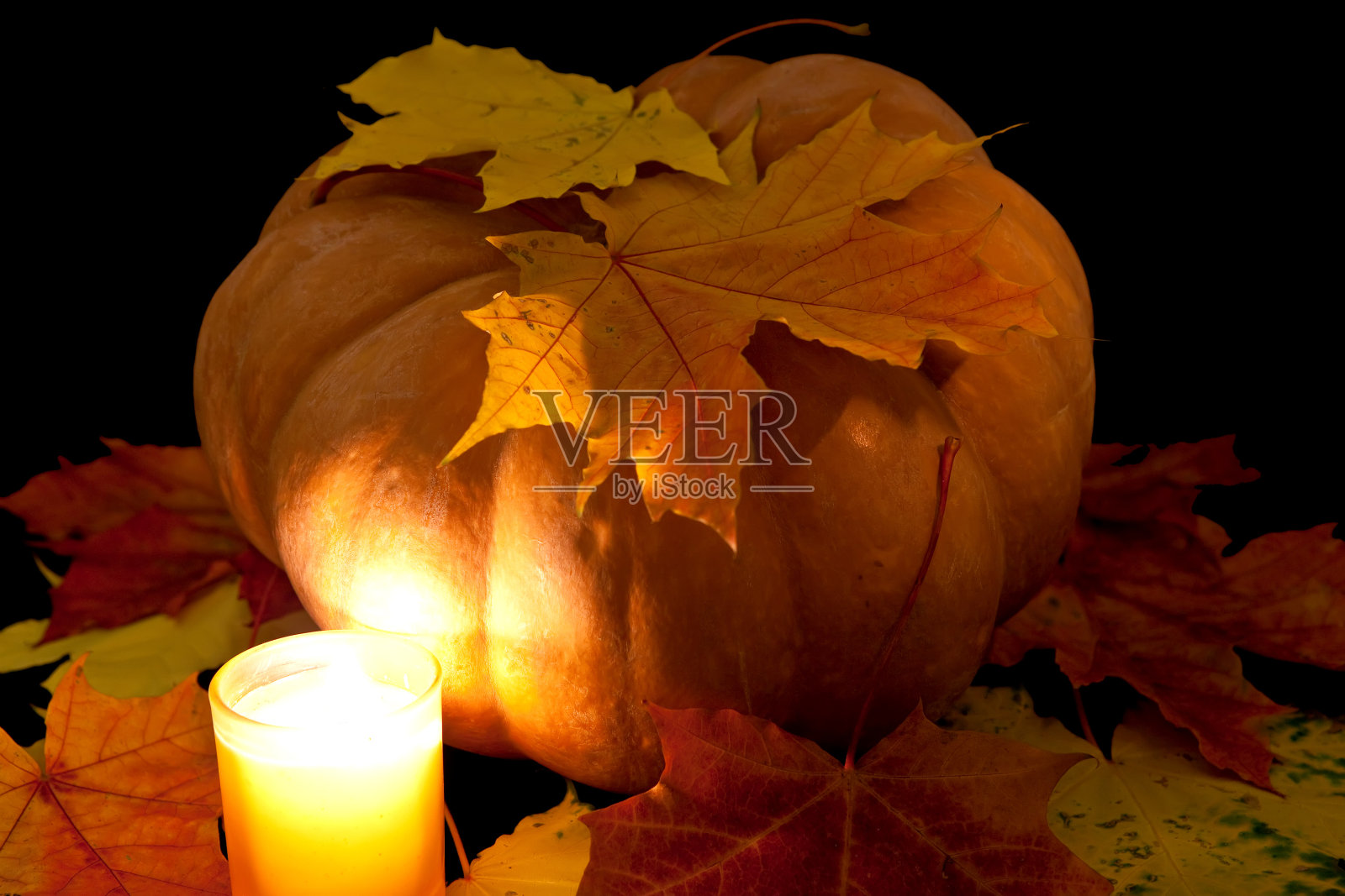 南瓜和枫叶在黑暗的背景照片摄影图片