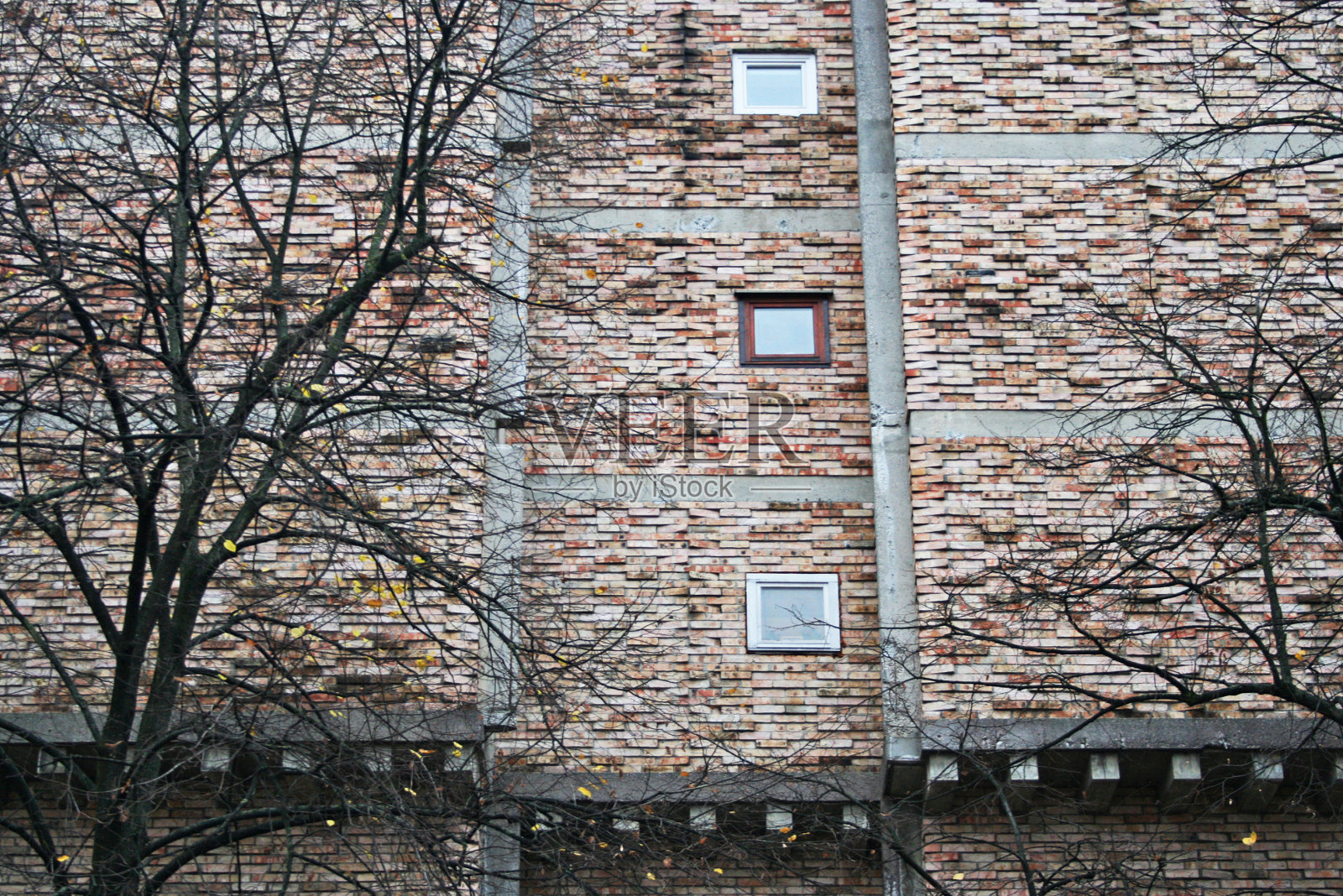 砖立面，小窗户被树木覆盖照片摄影图片