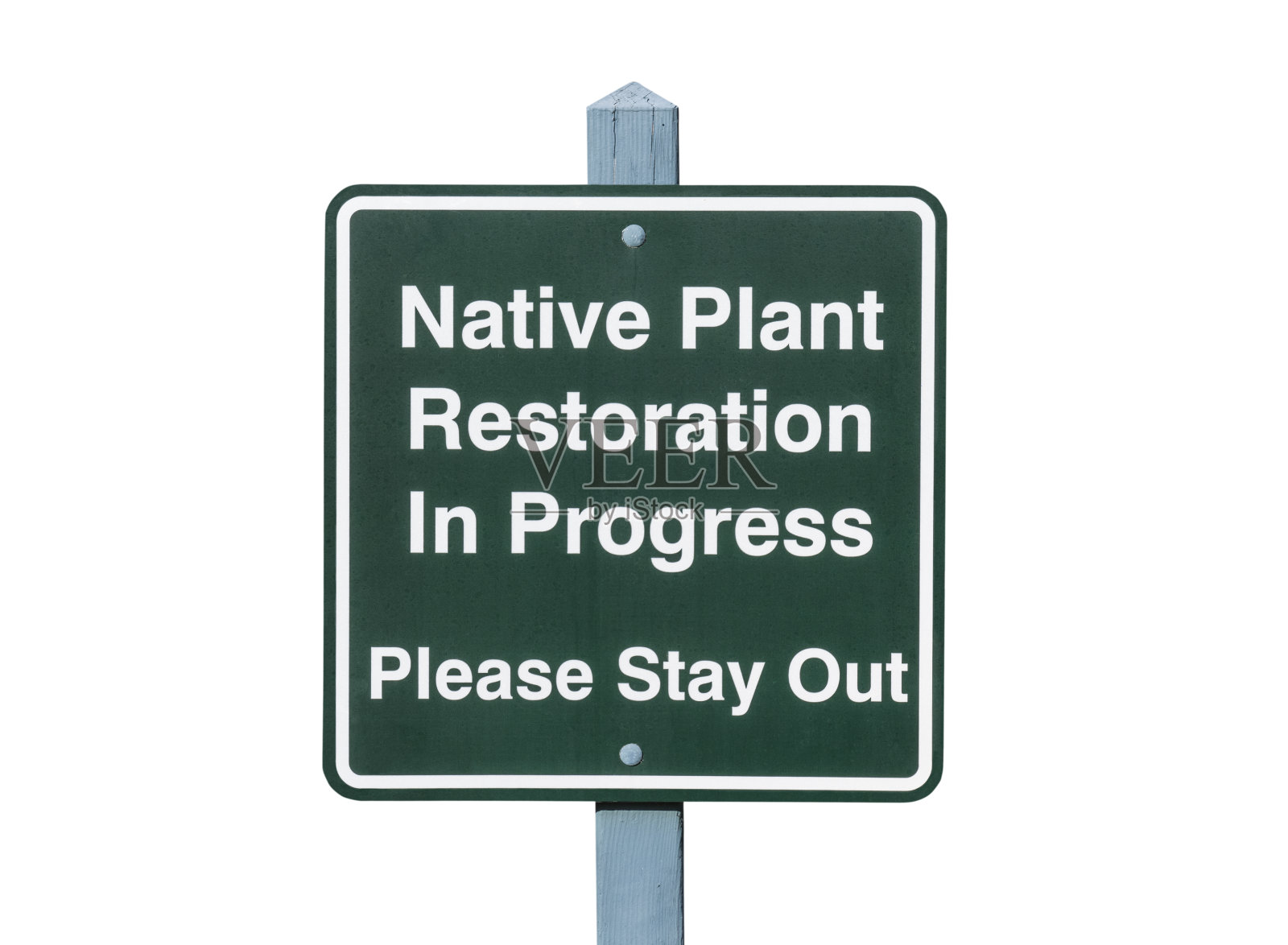 原生植物恢复标志隔离照片摄影图片