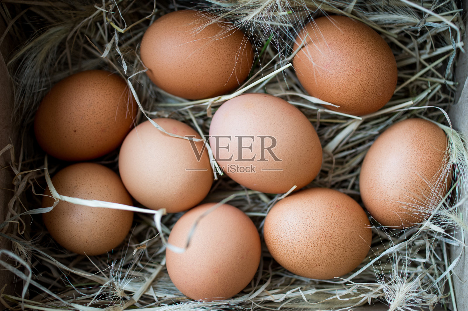 从上面鸟瞰鸟窝里的鸡蛋照片摄影图片