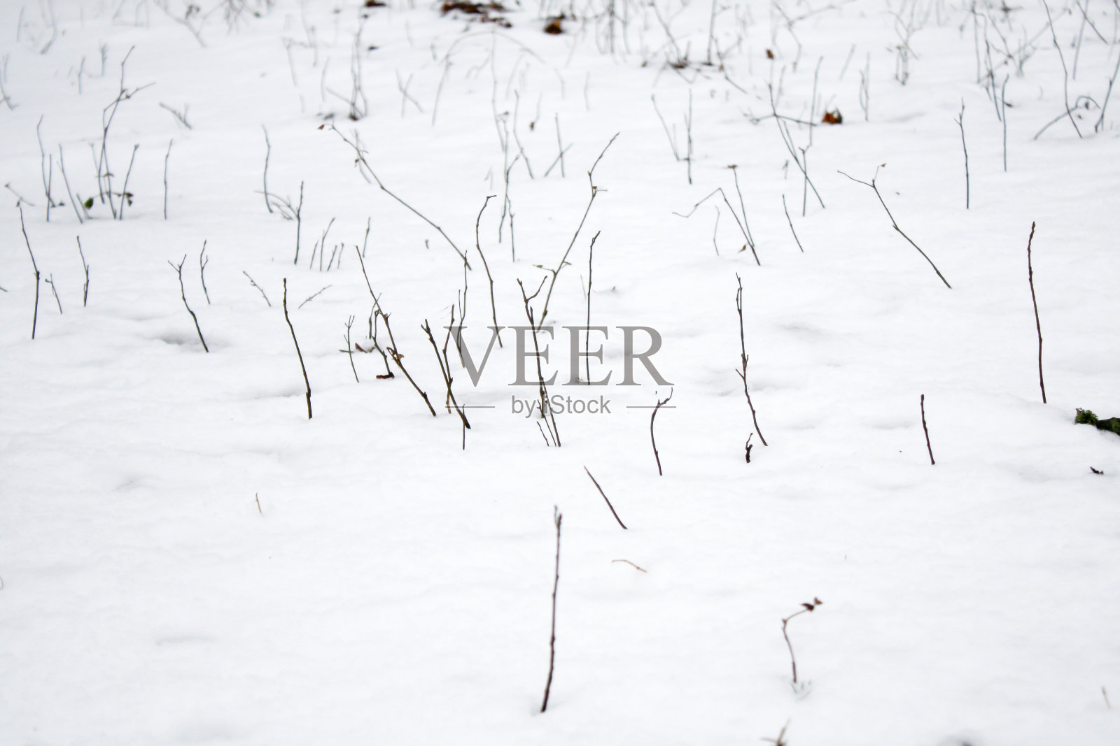 冬景照片摄影图片