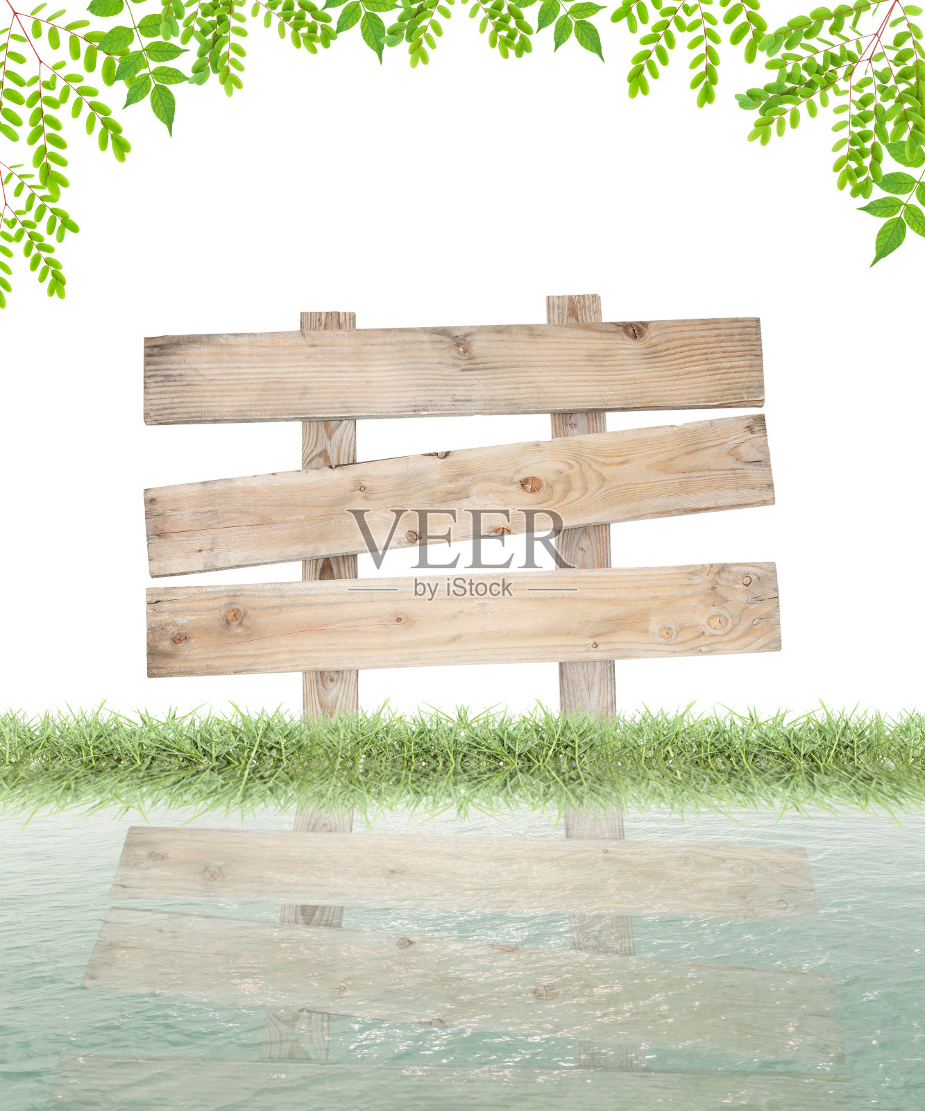 木牌与草、绿叶相框作夏日背景，照片摄影图片