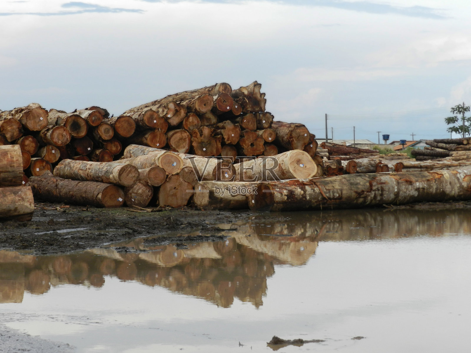 硬木照片摄影图片
