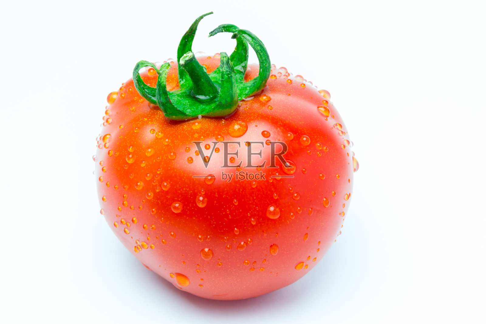 白色背景上的湿番茄照片摄影图片