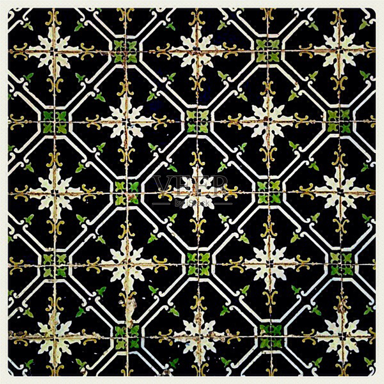 蓝知更鸟照片摄影图片