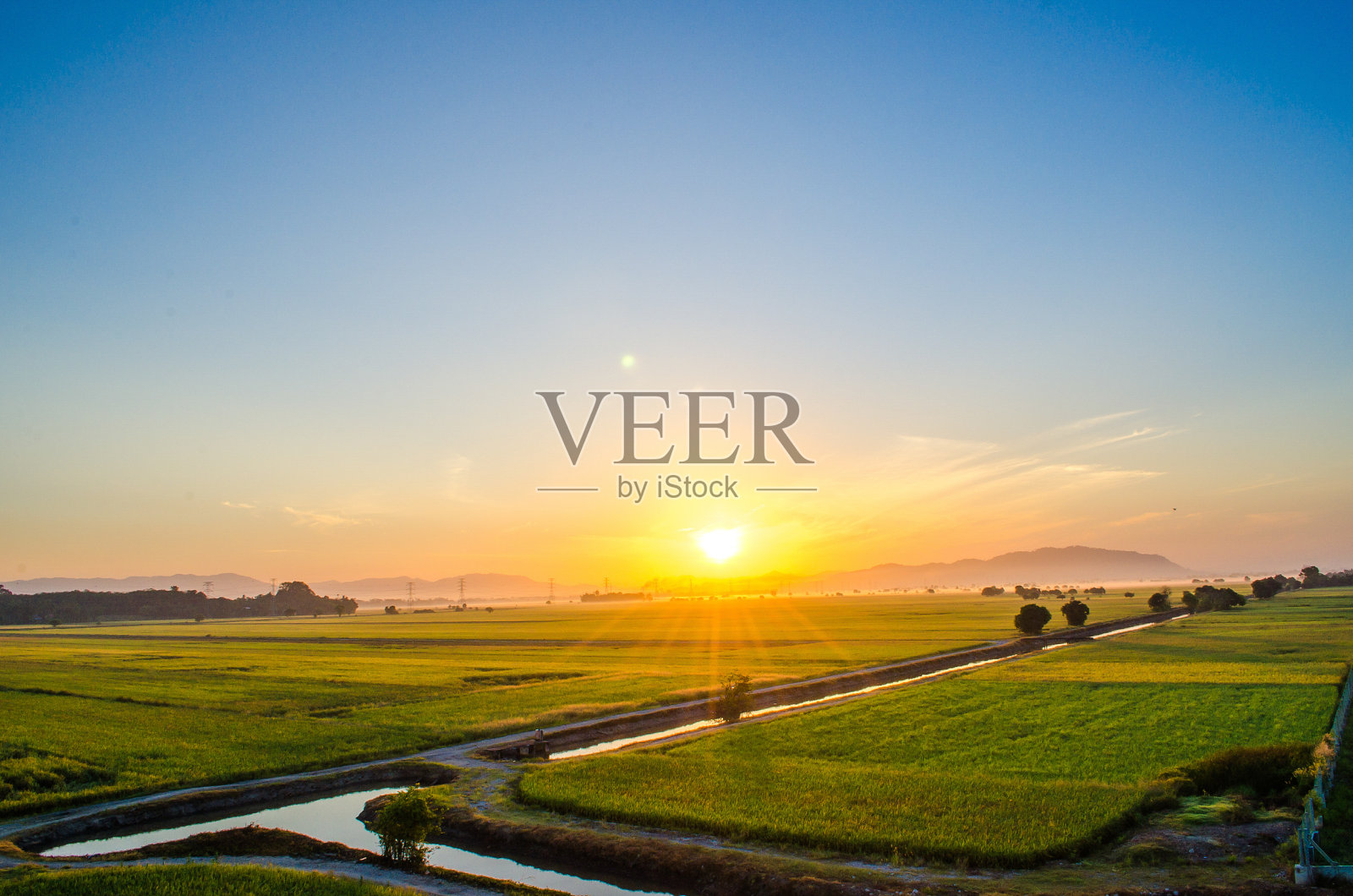 稻田的日出。照片摄影图片