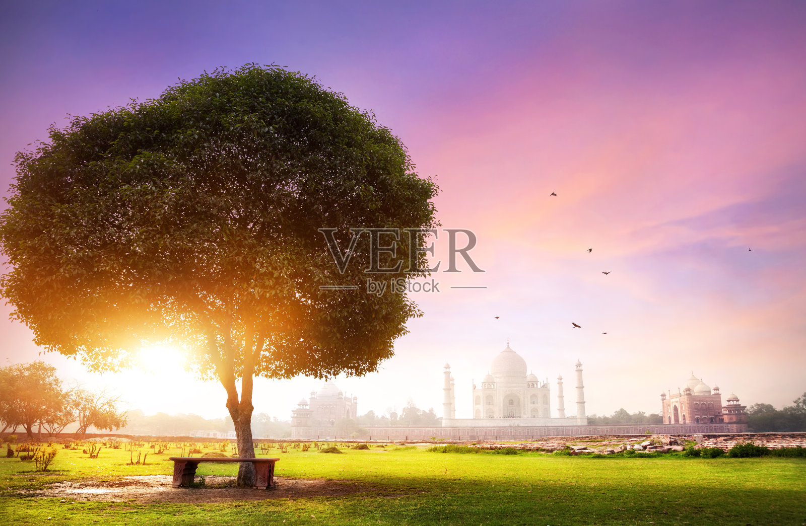 日出时的泰姬陵照片摄影图片