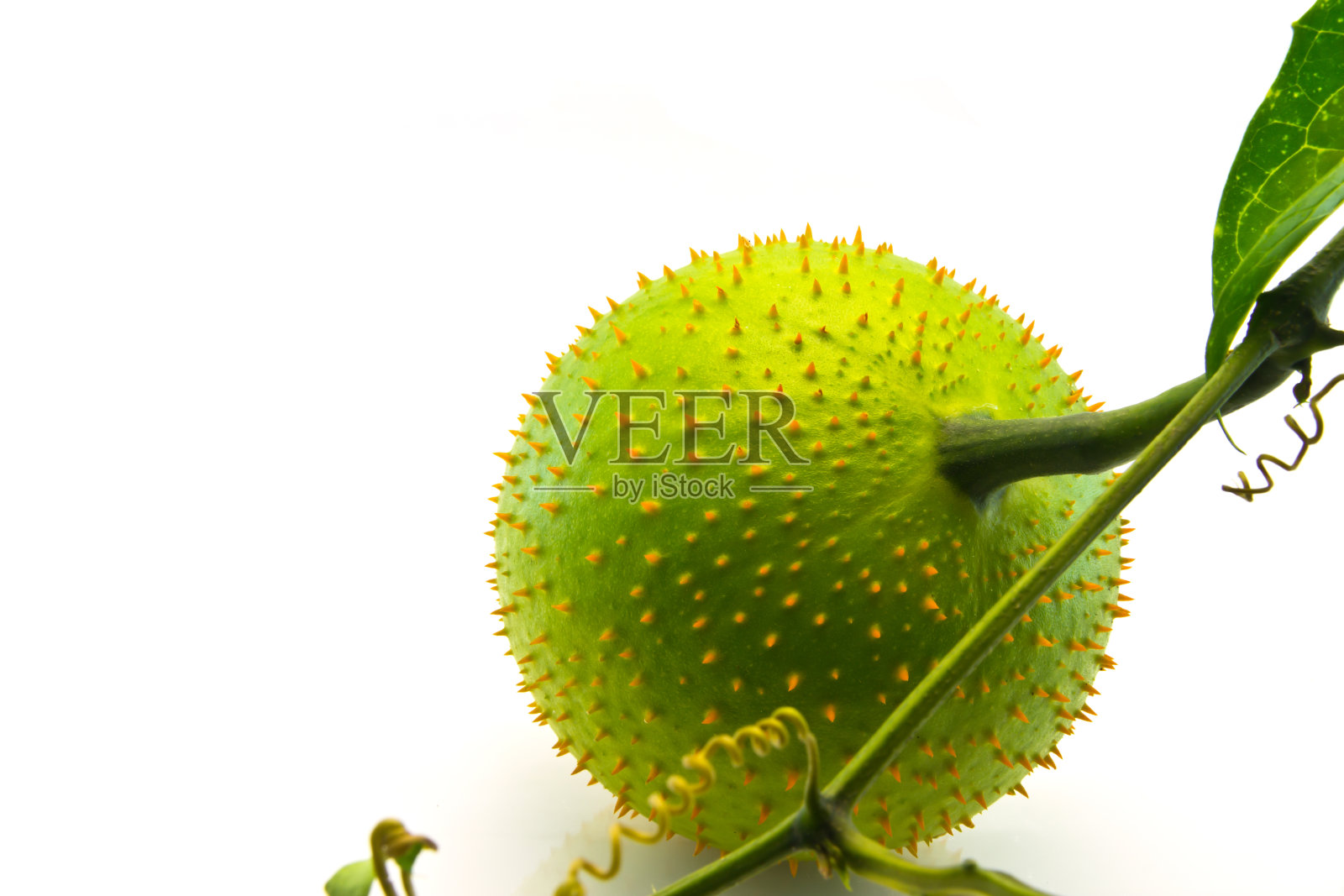 新鲜广汽水果照片摄影图片