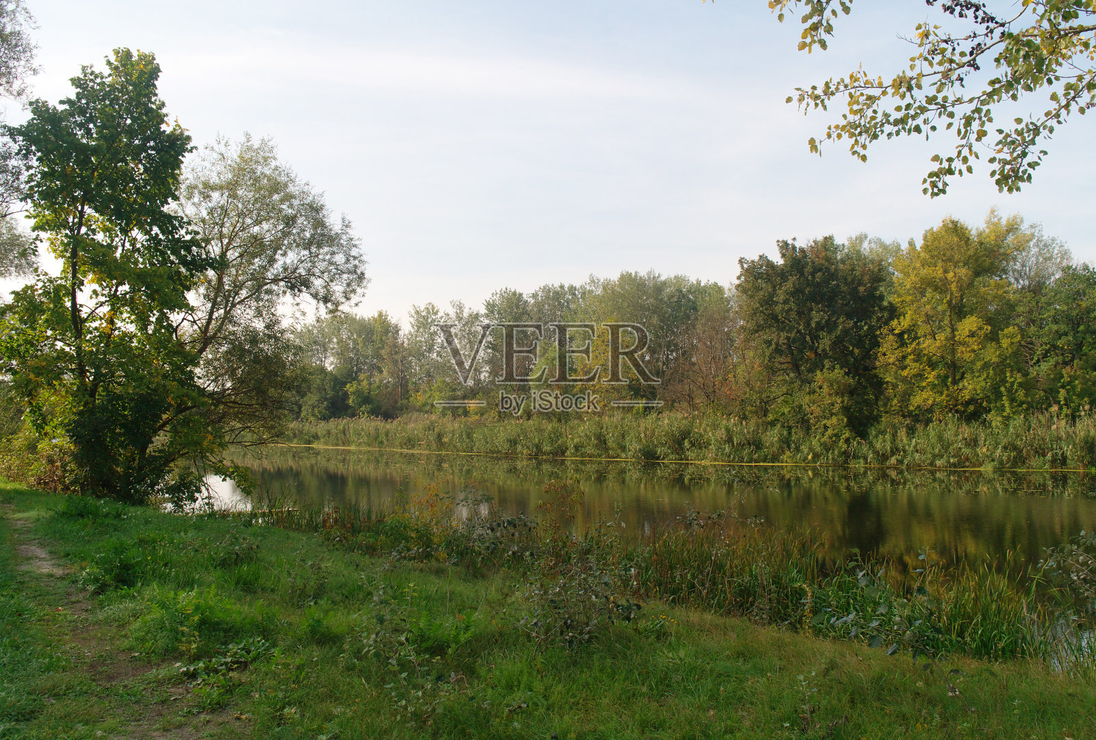 河景秋木照片摄影图片