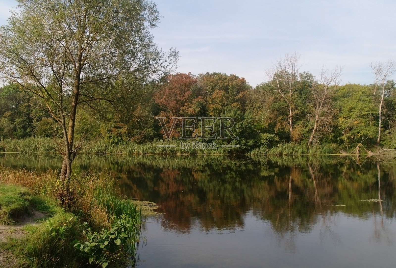 河景秋木照片摄影图片