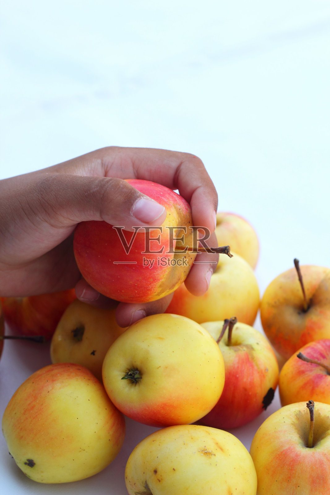 手里有新鲜的红苹果。照片摄影图片