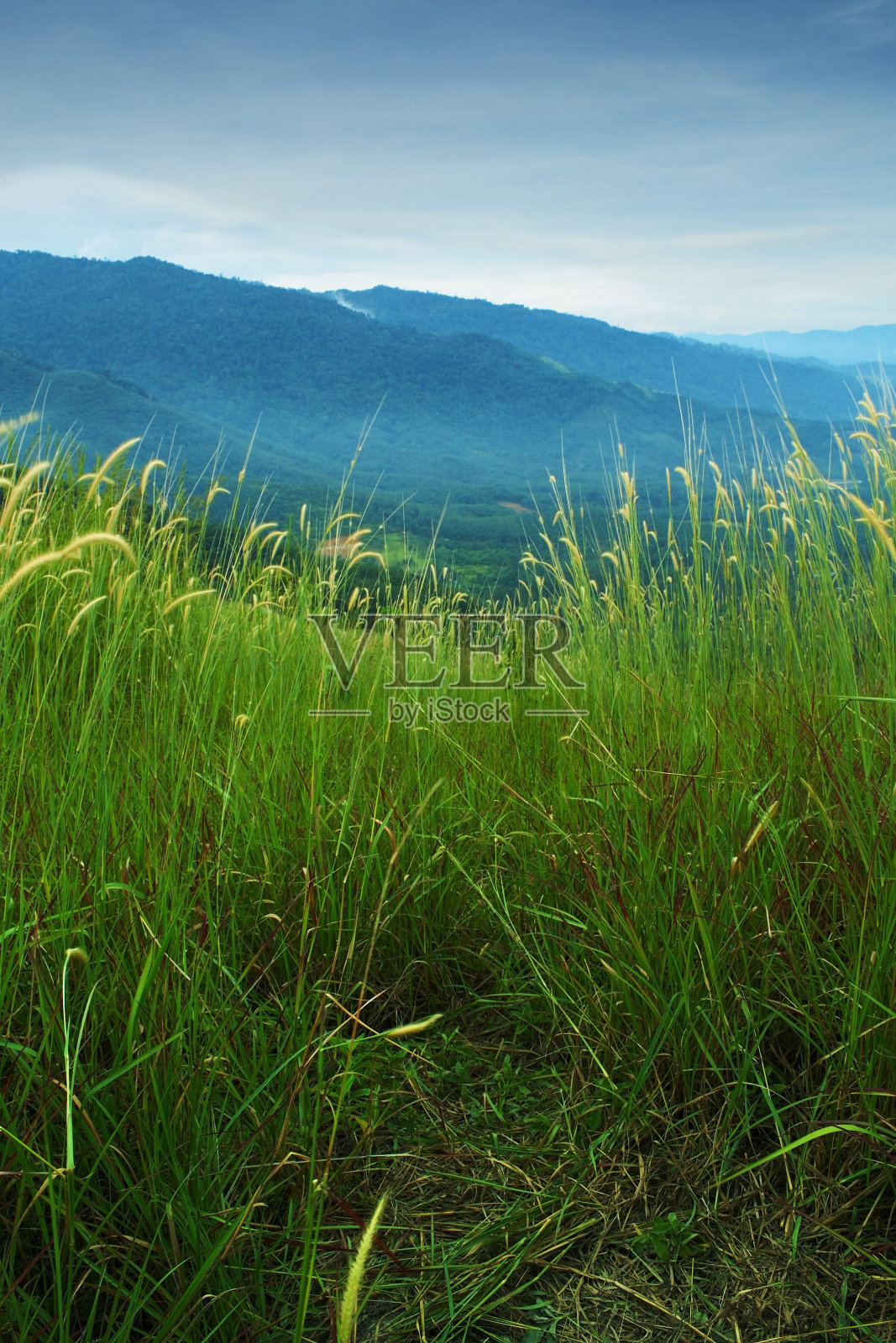 穿过高原草原的崎岖小径。照片摄影图片