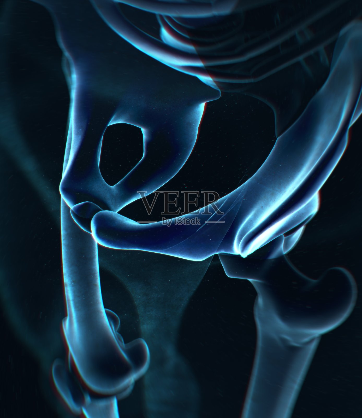 髂骨、髋骨、骨盆。人体解剖学，骨骼结构x光。插画图片素材