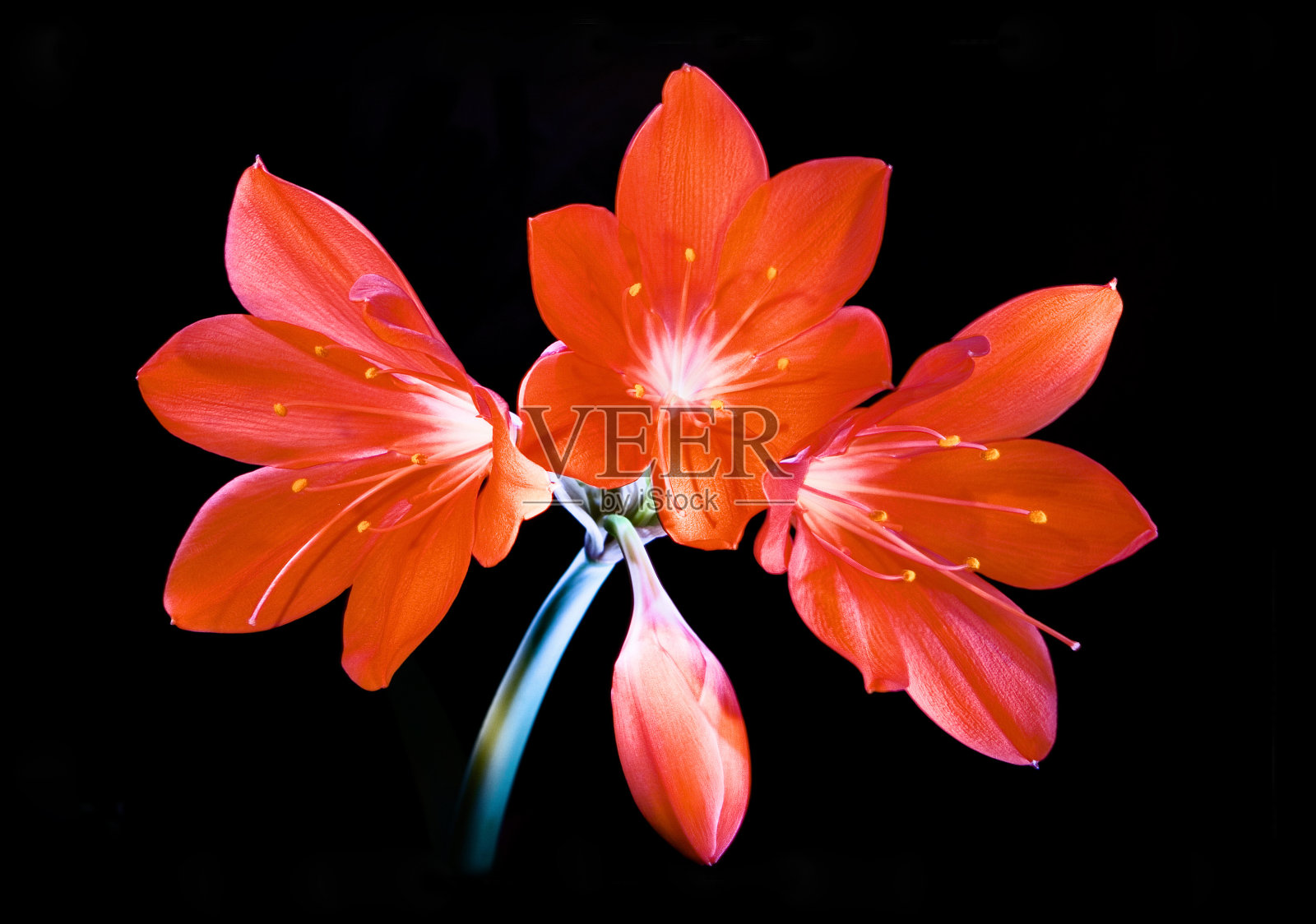 大自然。照片摄影图片