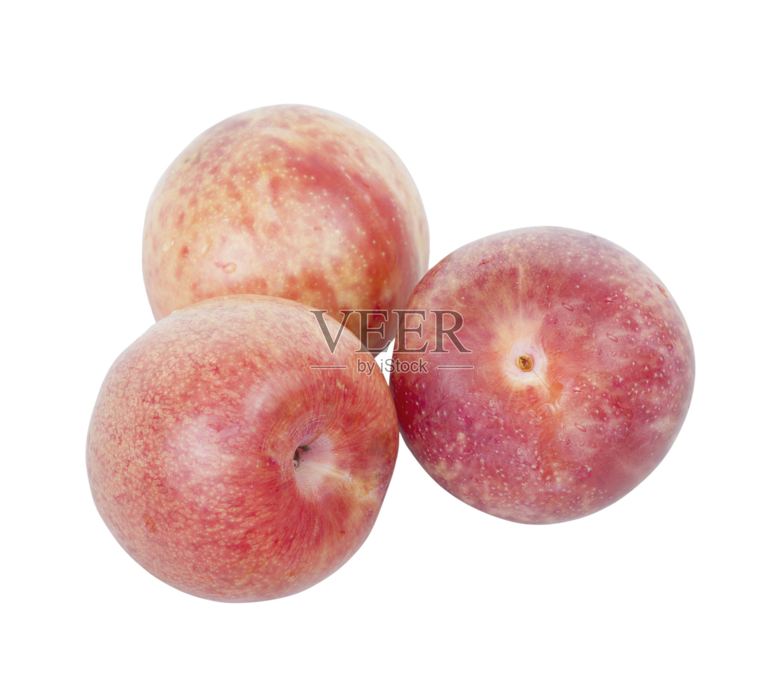 在白色的背景上孤立的成熟的粉红色的李子。照片摄影图片