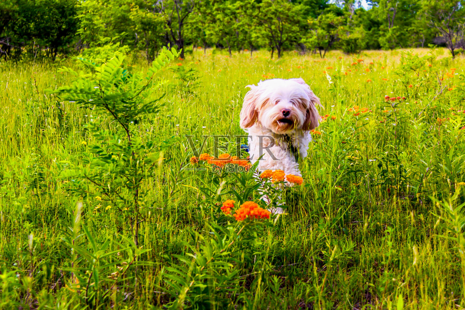 在现场照片摄影图片