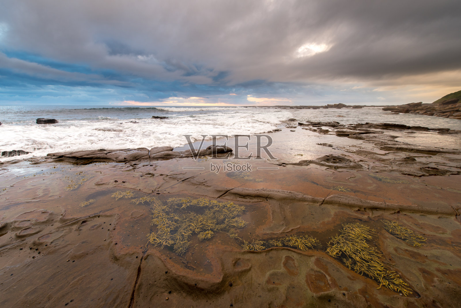 悉尼海景照片摄影图片