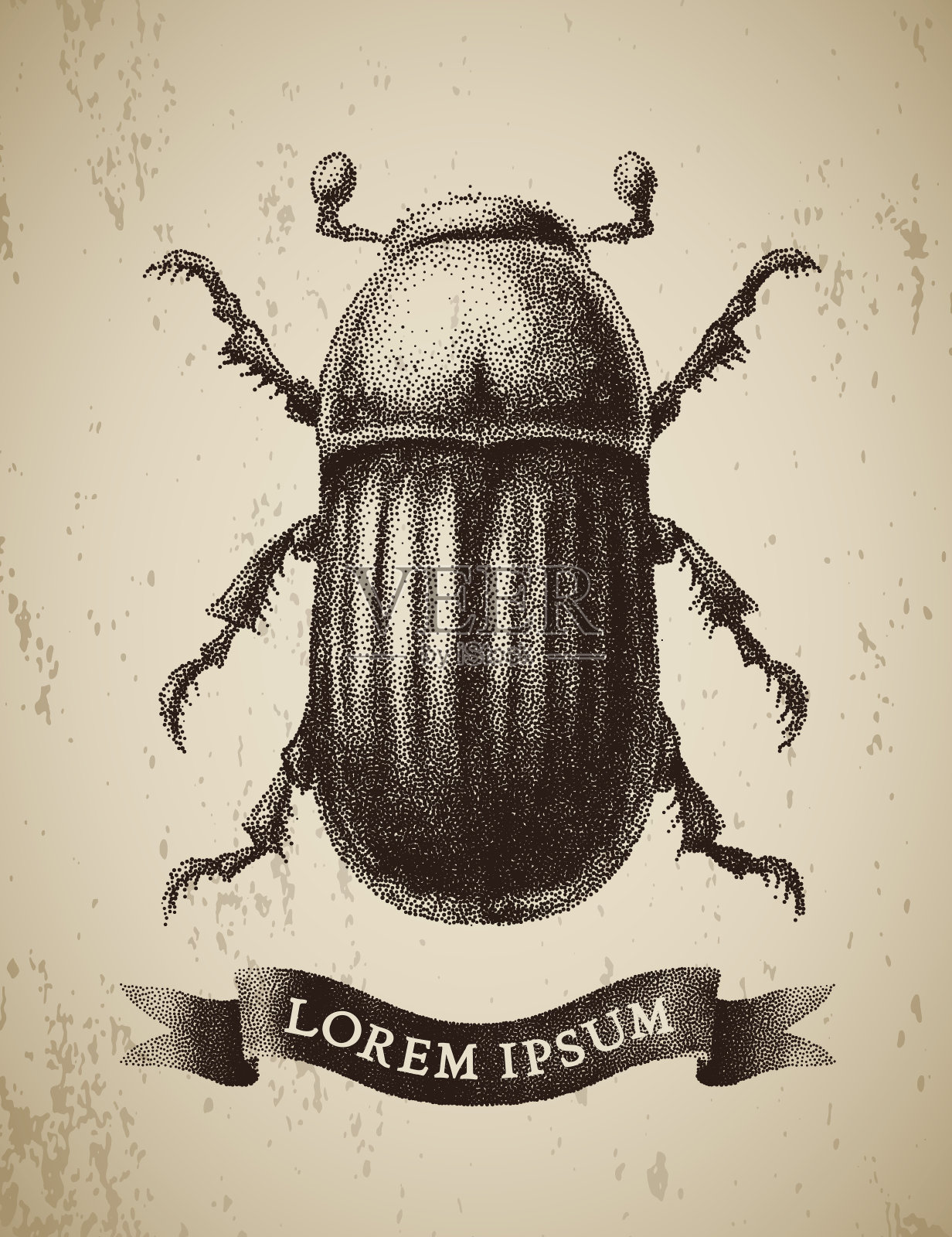 矢量抽象甲虫画在复古蚀刻风格照片摄影图片