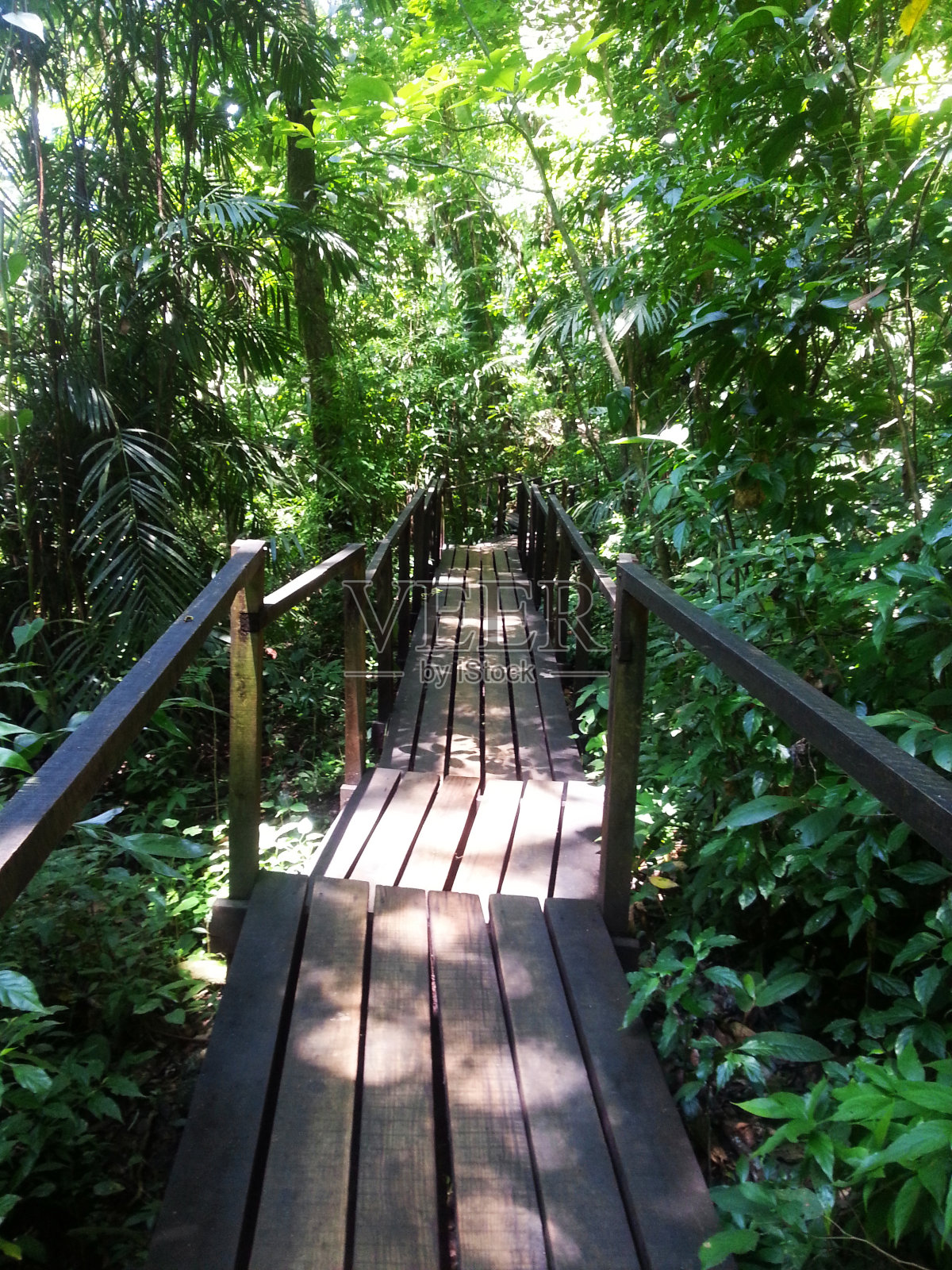 桥梁照片摄影图片