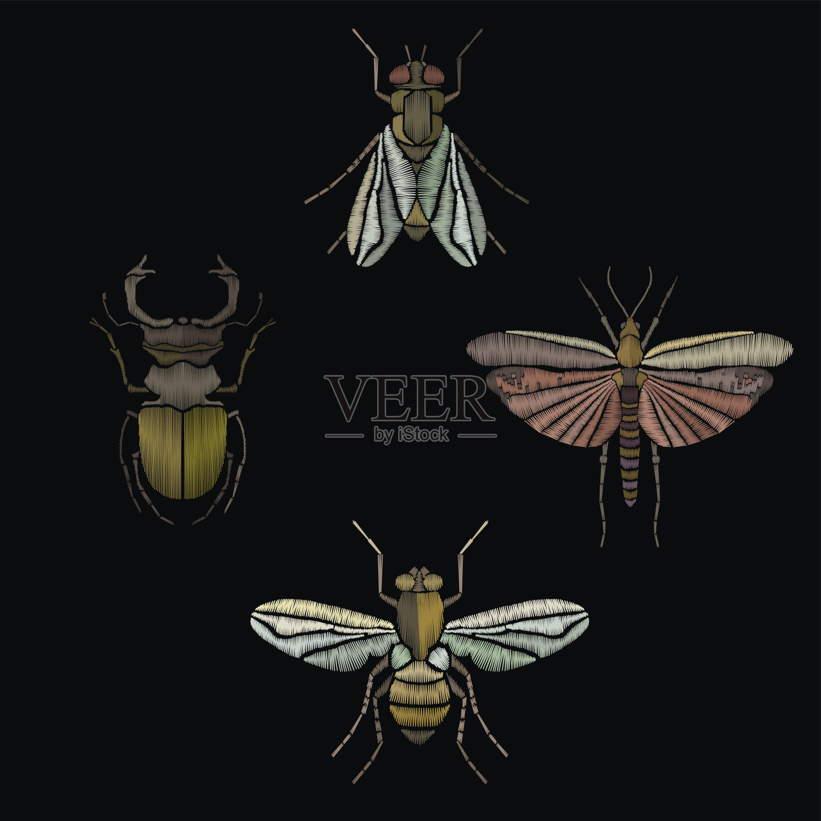 蝴蝶，蜜蜂，苍蝇，甲虫刺绣。昆虫刺绣。设计元素图片