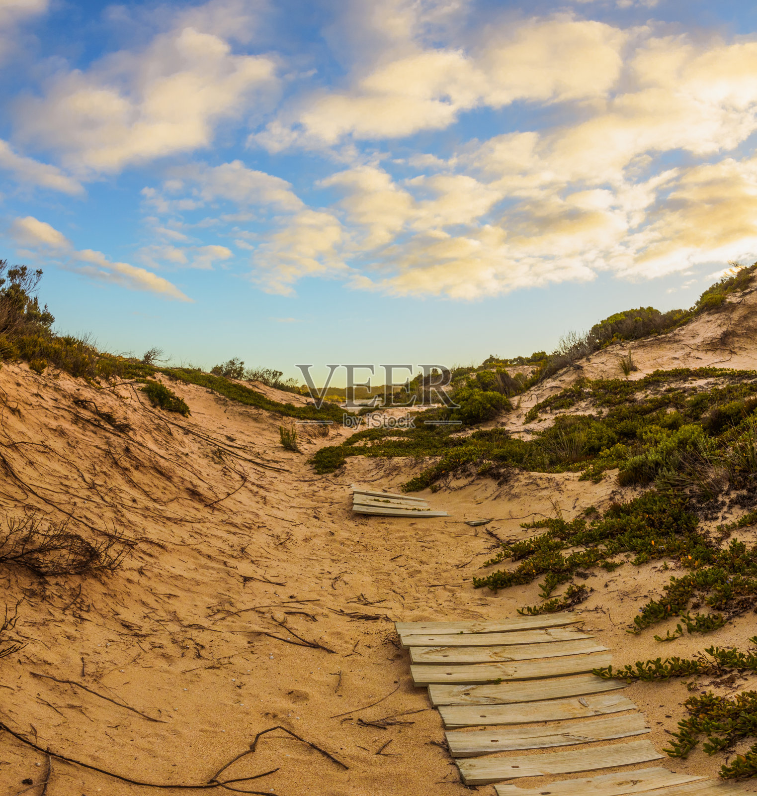 穿越沙丘的木制步道照片摄影图片