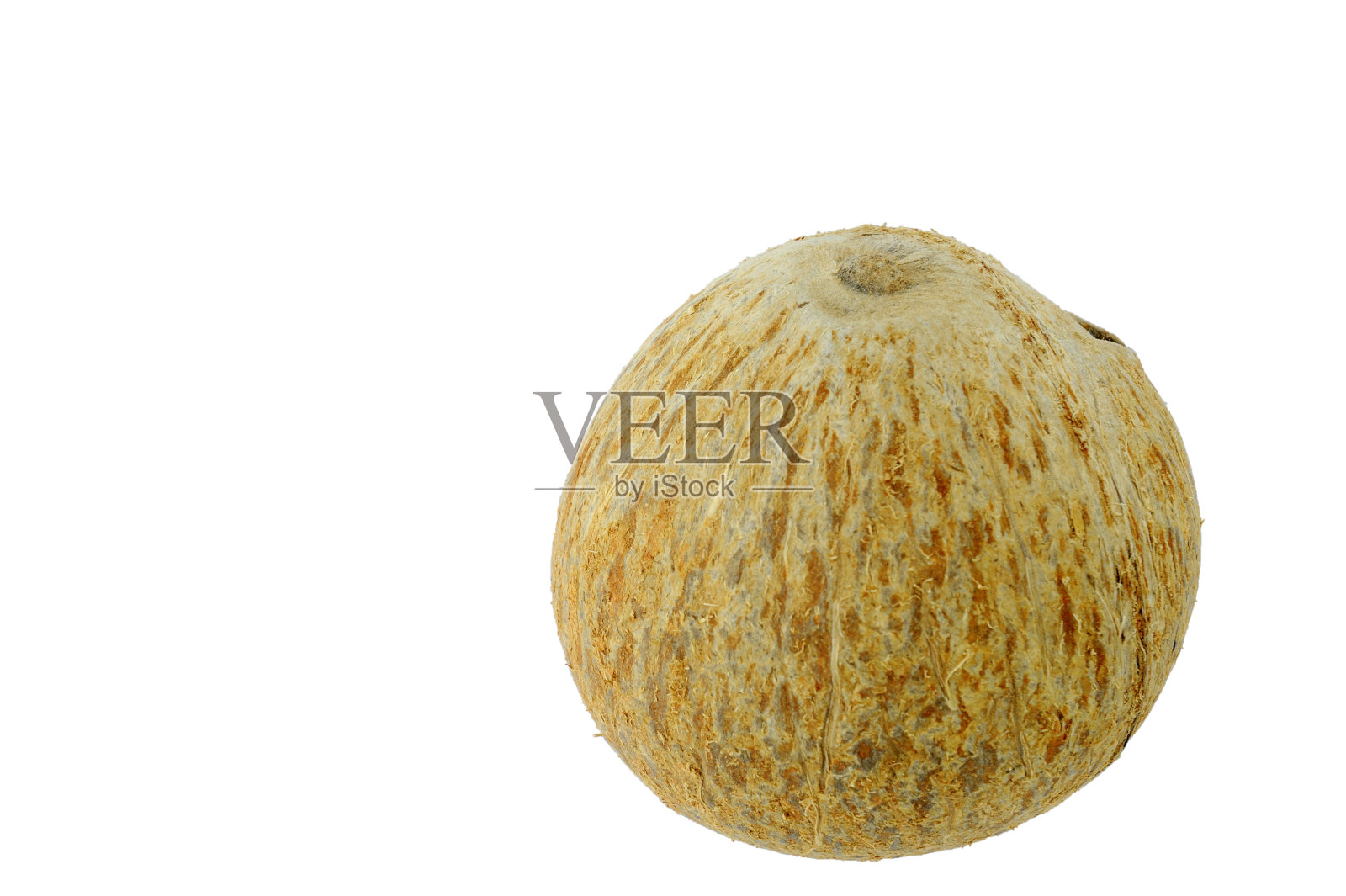 椰子照片摄影图片