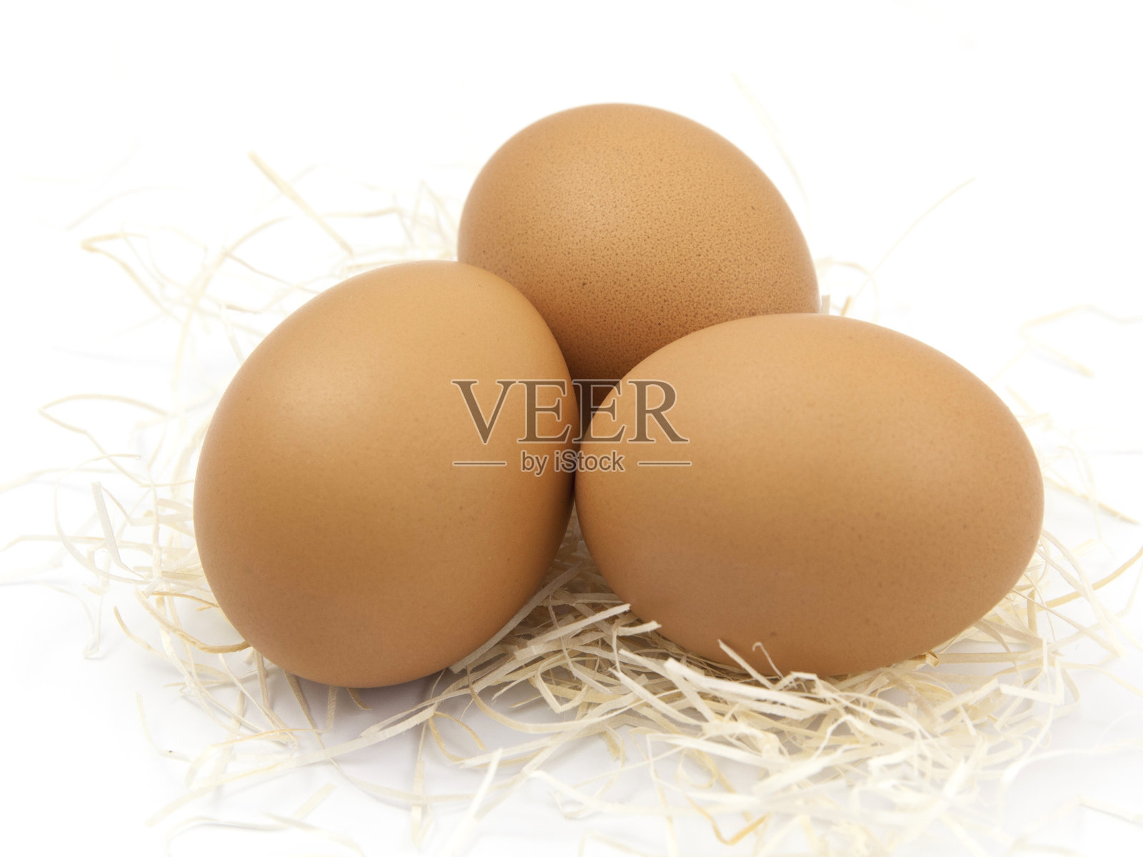 蛋照片摄影图片