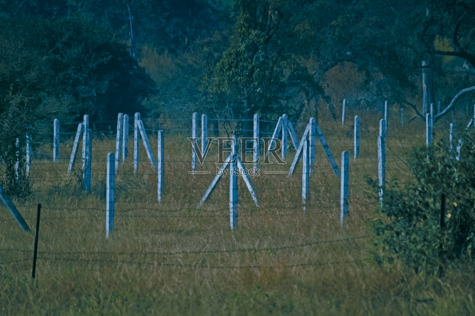 铁丝栅栏照片摄影图片