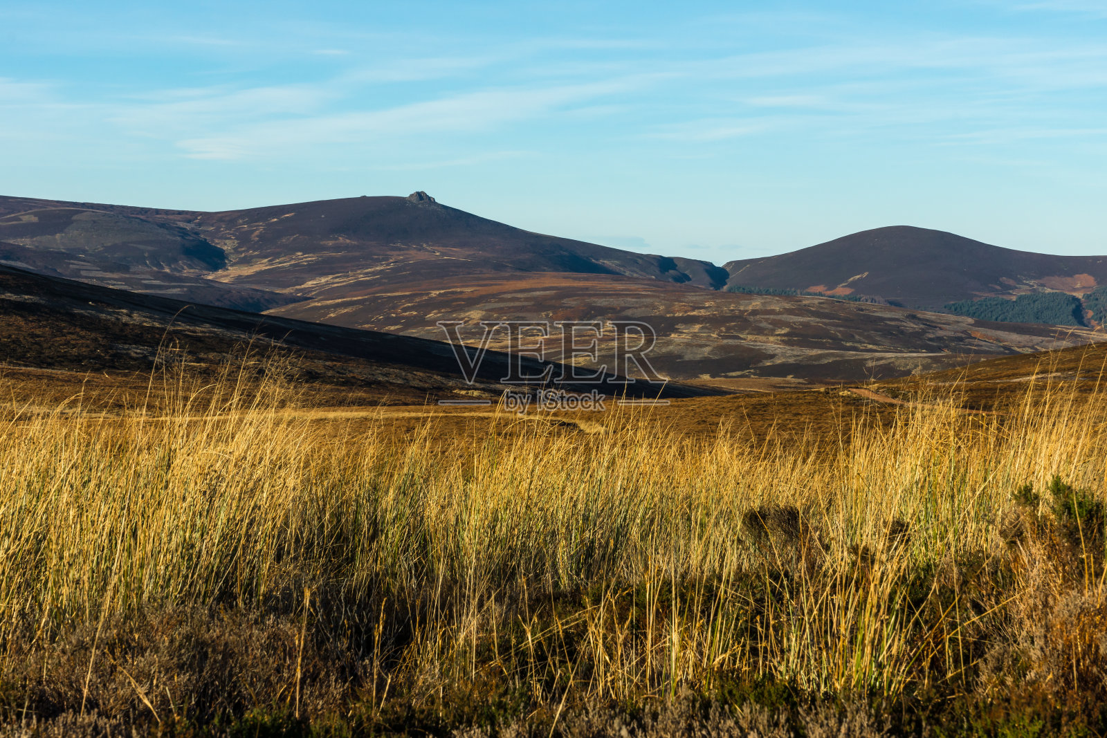 Clachnaben，山阴，草和石南。照片摄影图片