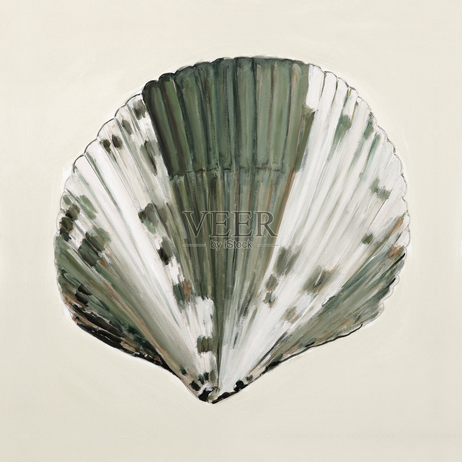 色彩柔和的海贝壳-油画插画图片素材