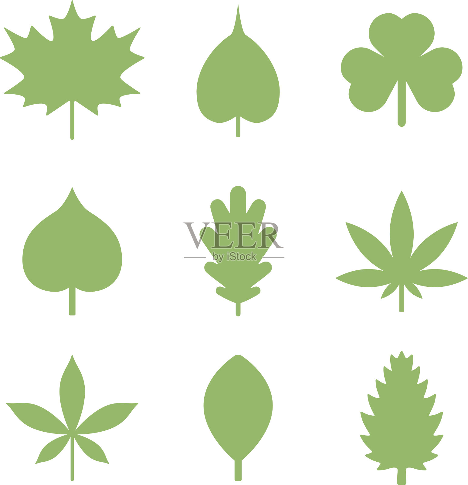 叶子的图标插画图片素材