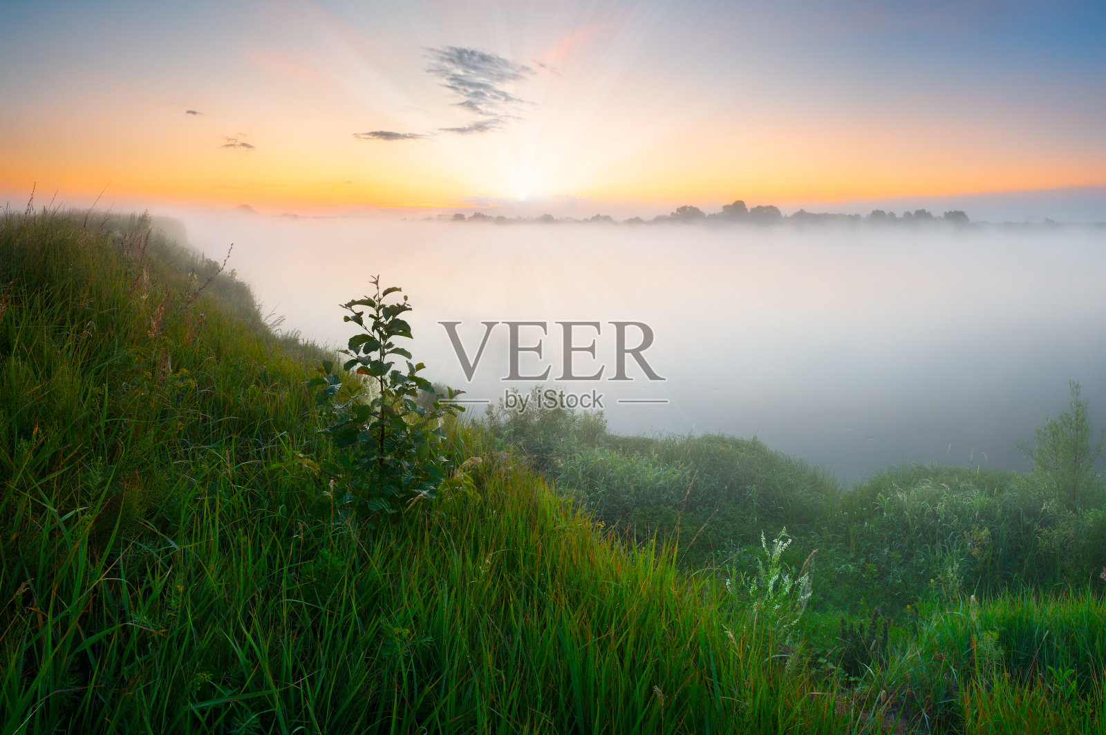 树在陡峭的河岸照片摄影图片