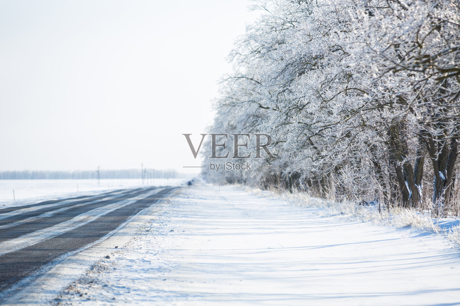 白雪皑皑的路穿过森林，白天。照片摄影图片