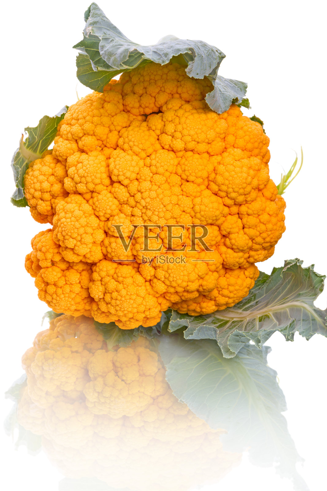 黄色的菜花照片摄影图片