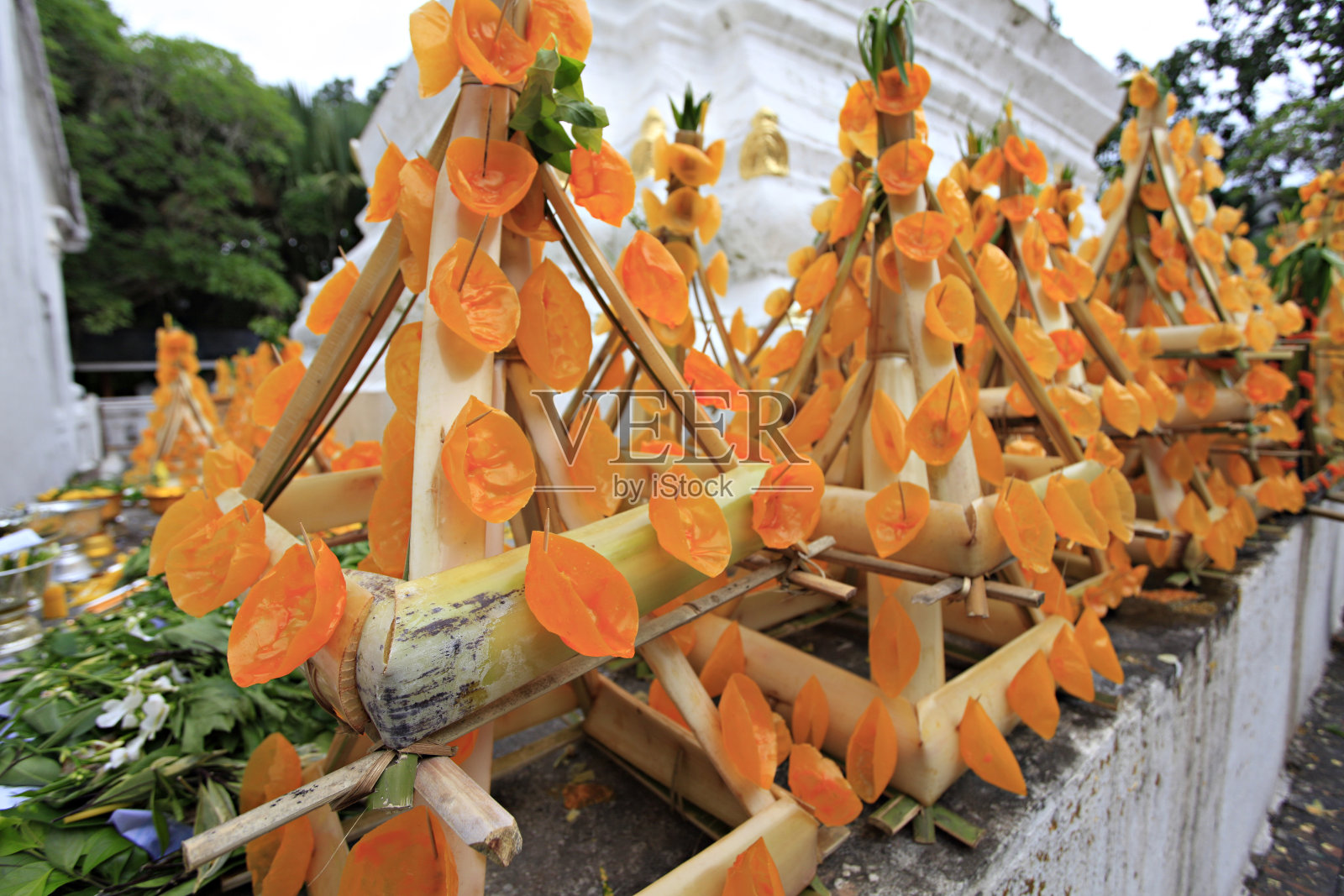 通彭照片摄影图片