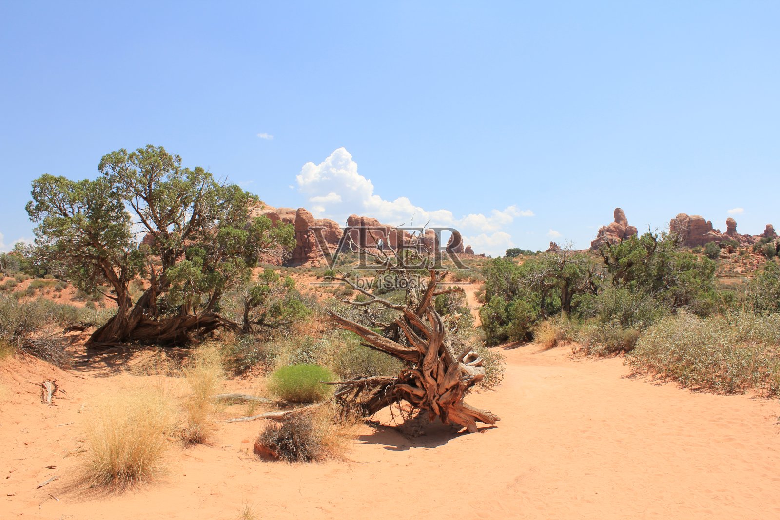 废弃的景观照片摄影图片