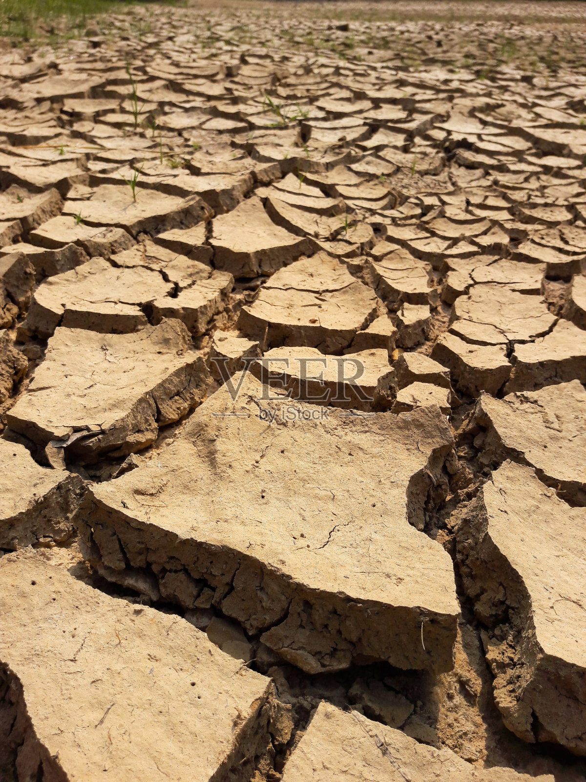 了地球变形照片摄影图片
