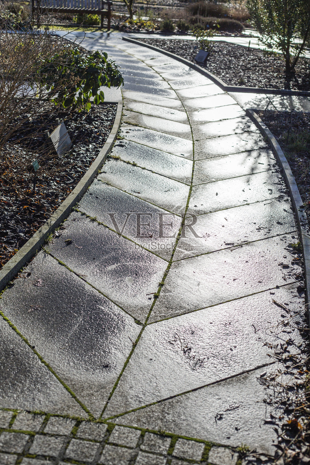 花园小径照片摄影图片