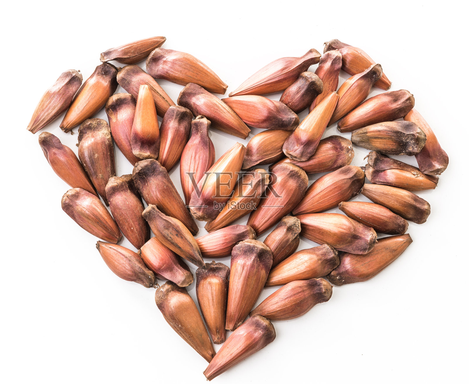 巴西松树之心(Pinhao)照片摄影图片