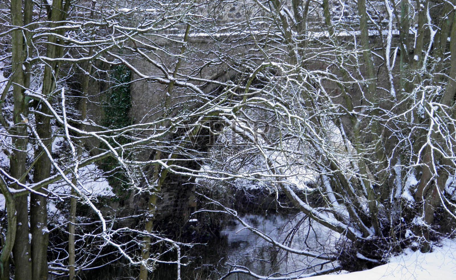 冬天和唐桥照片摄影图片