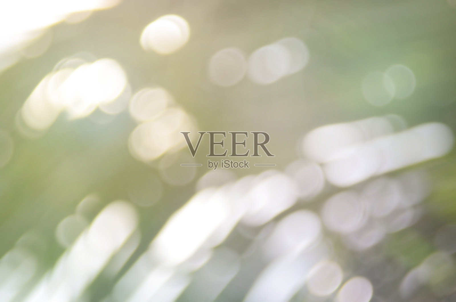 散景阳光光叶自然抽象背景。照片摄影图片