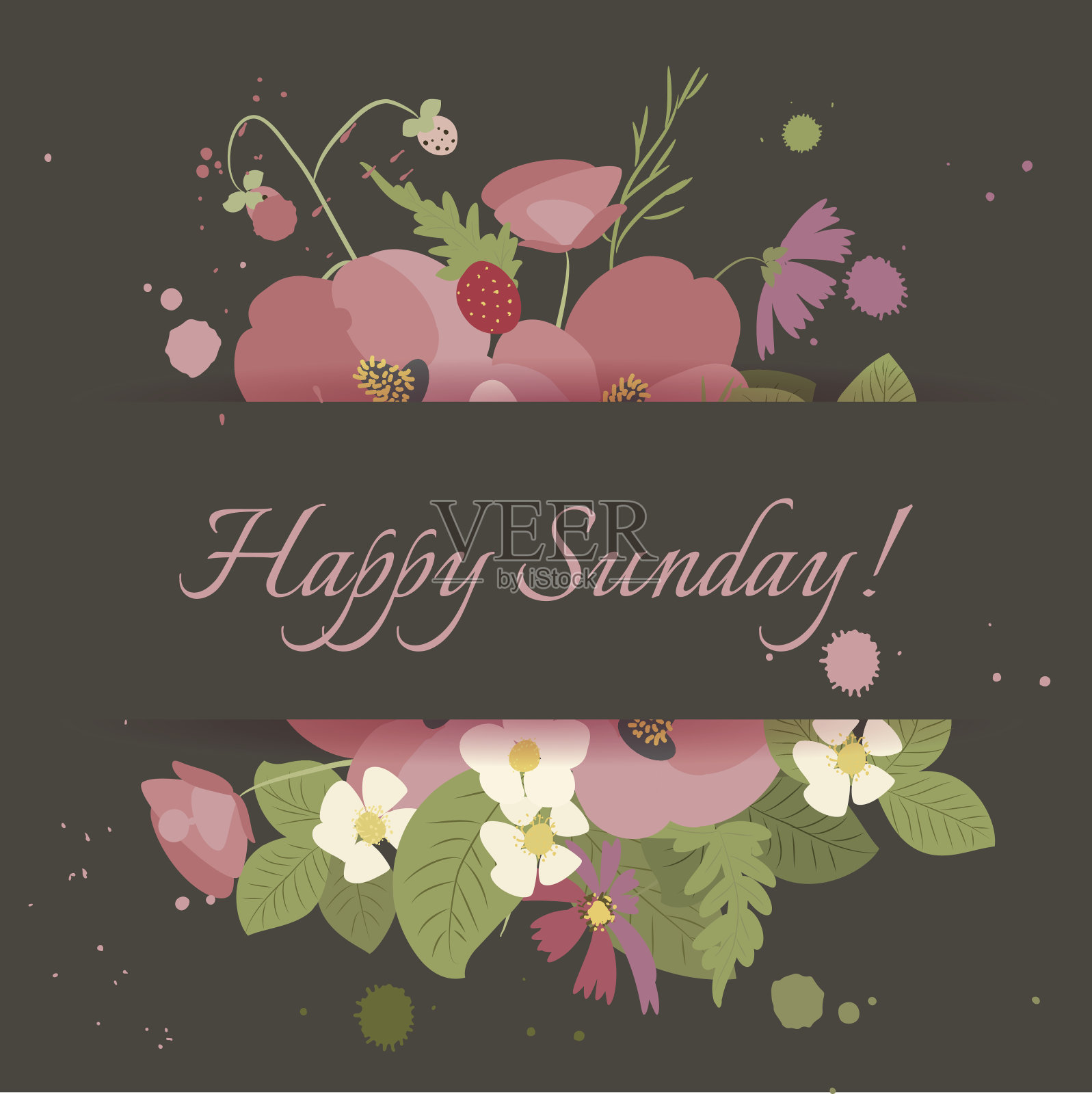 花背景罂粟和宇宙草莓矢量插图插画图片素材