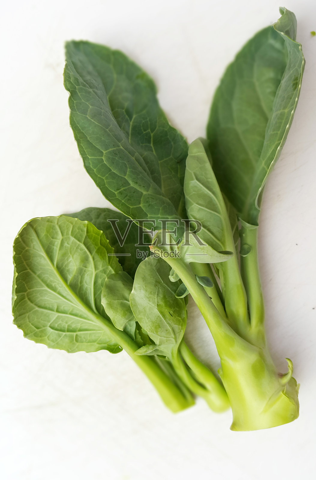 绿甘蓝照片摄影图片