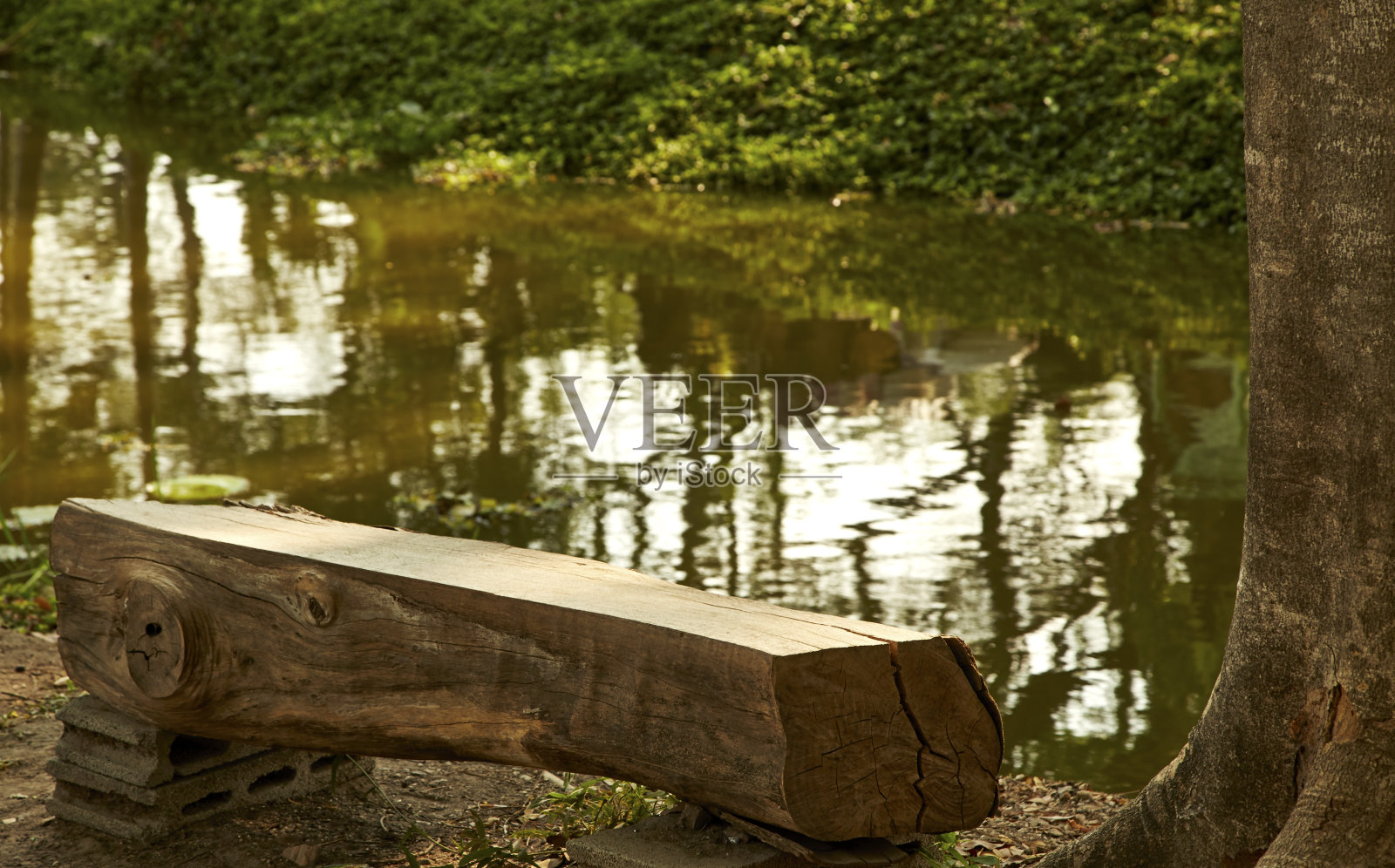 公园的长椅上照片摄影图片