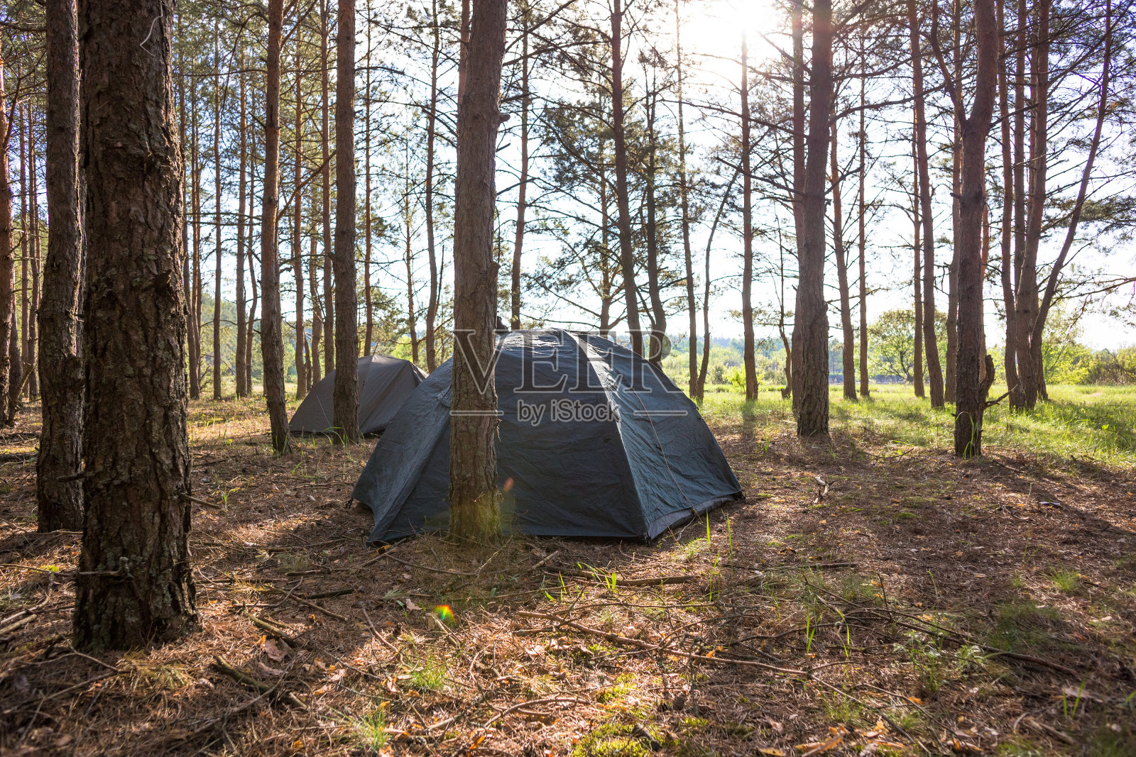 在清晨露营。阳光明媚的日子靠近美丽的森林照片摄影图片