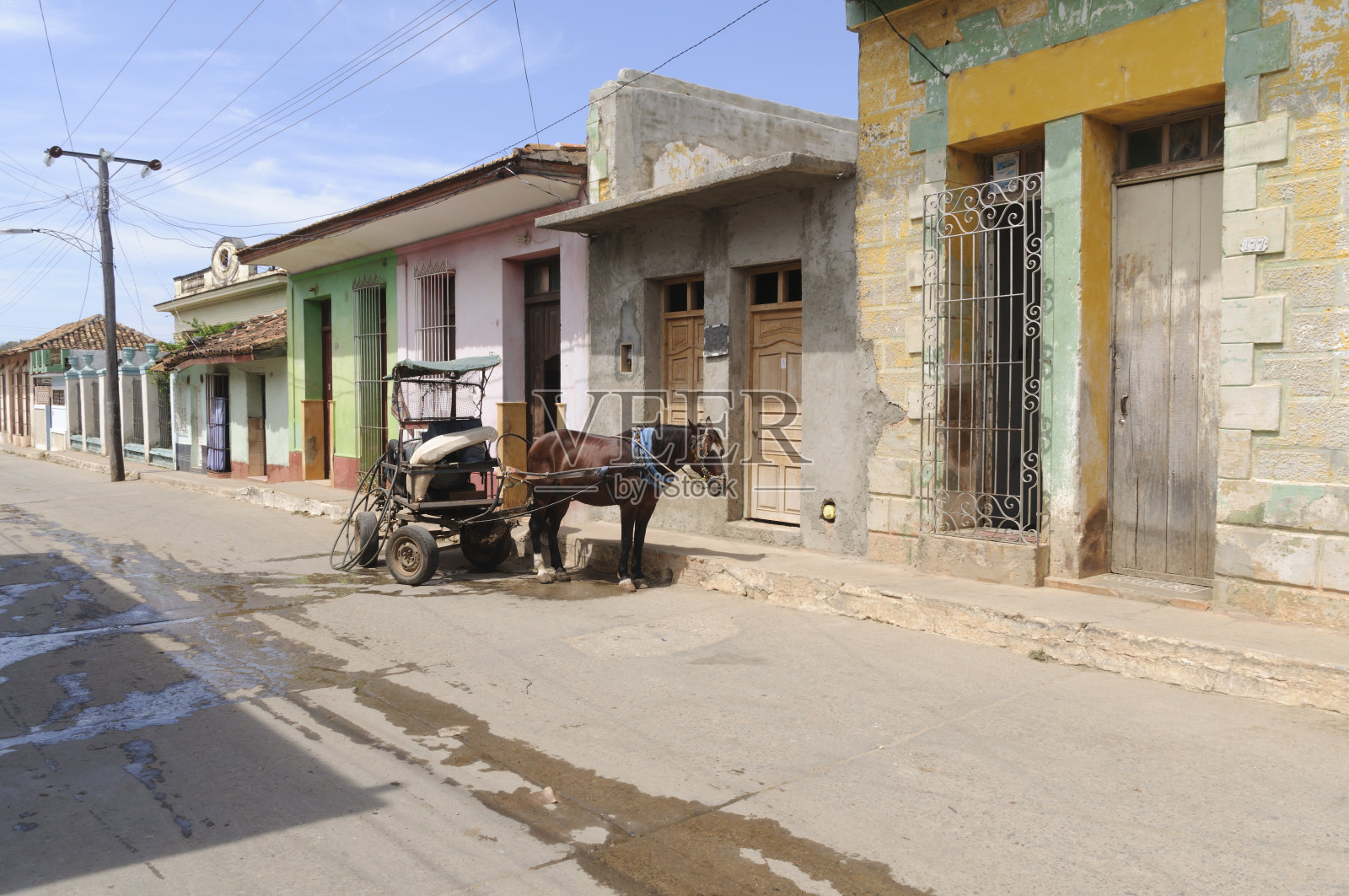马和马车照片摄影图片