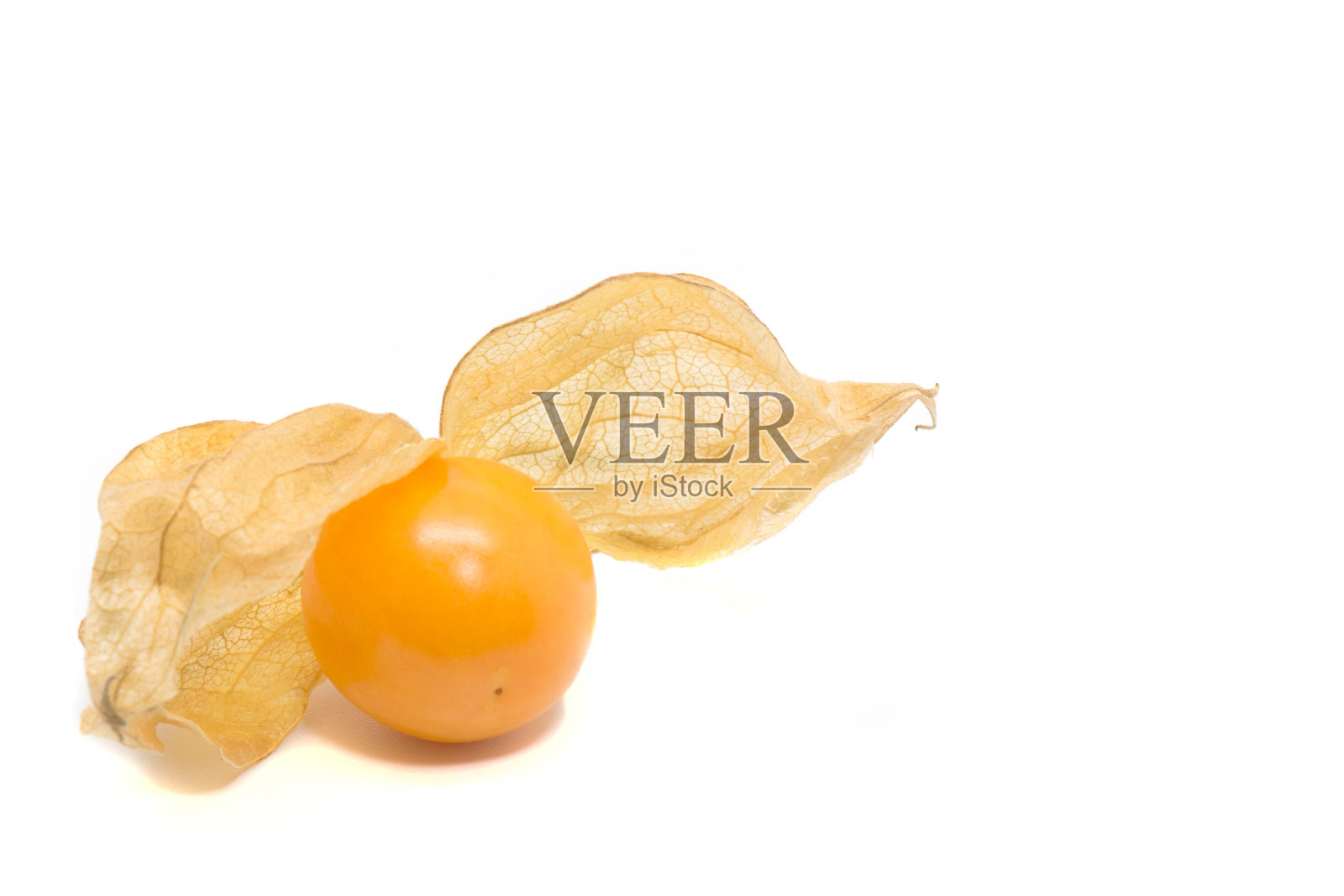 白背景上的醋栗角照片摄影图片