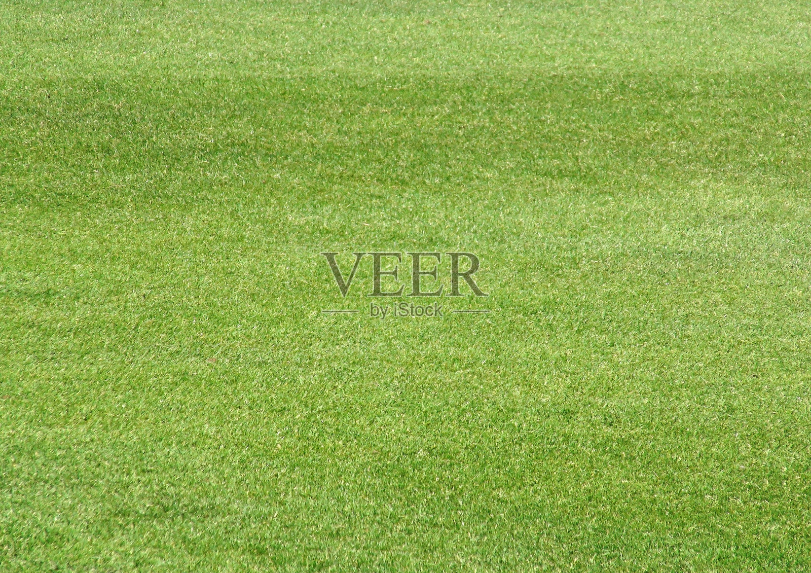 草照片摄影图片